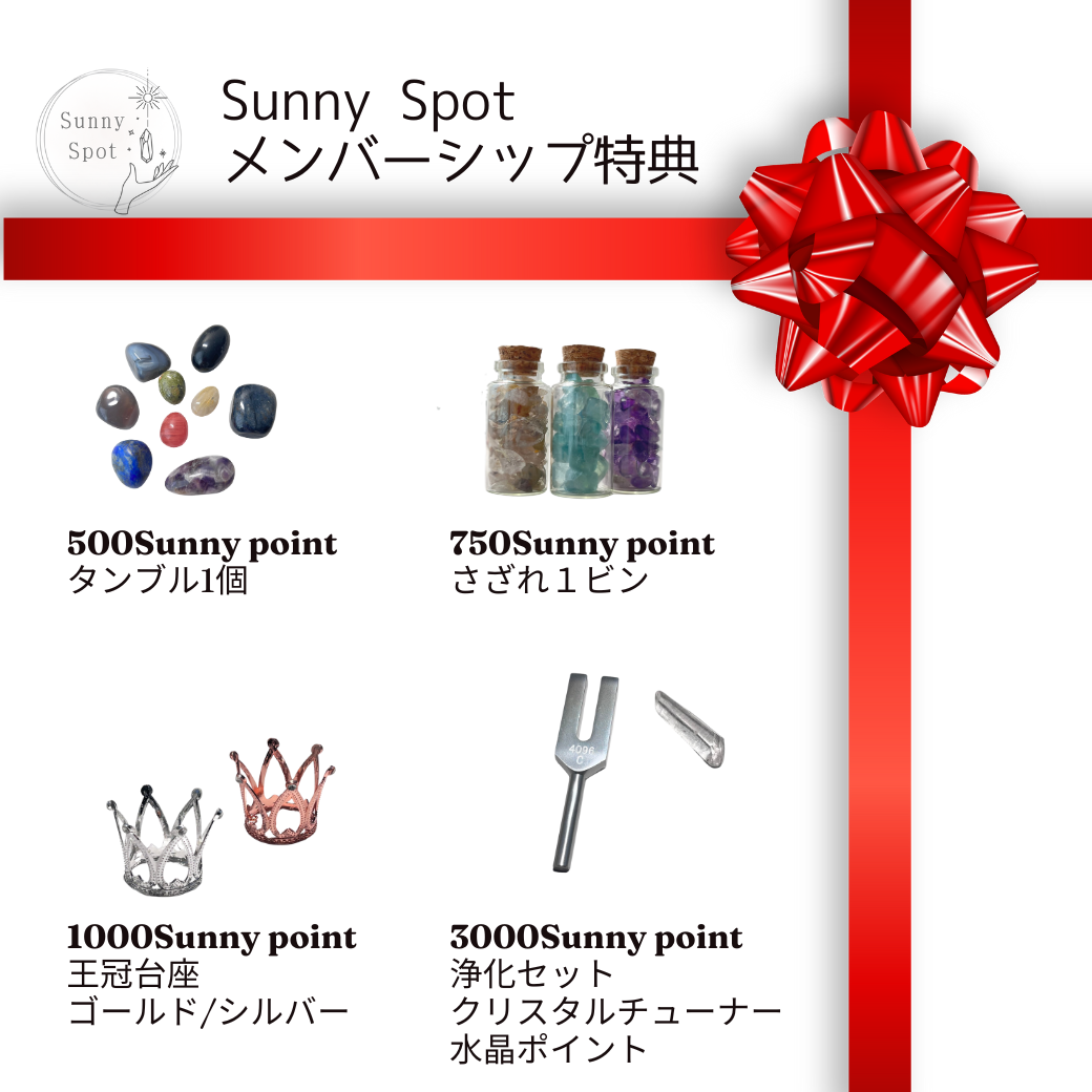 Sunny Spotメンバーシップ始まります！