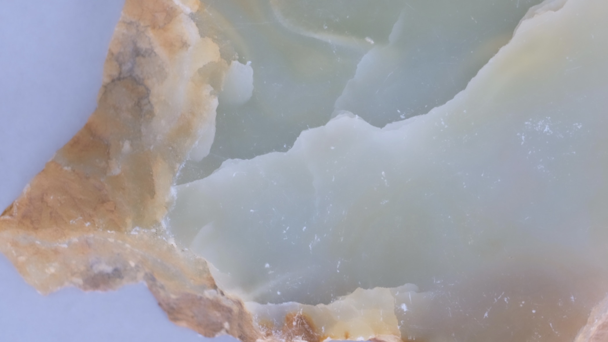 ME LE online openにつきまして