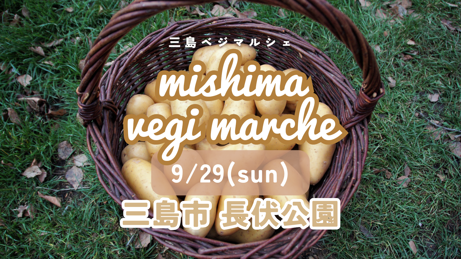 出店のお知らせ