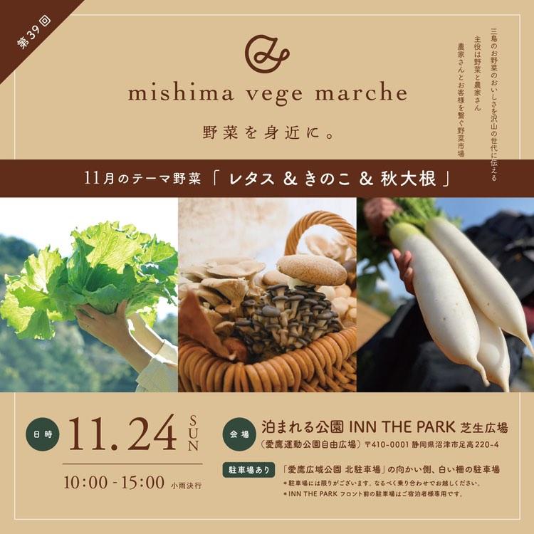 出店のお知らせ