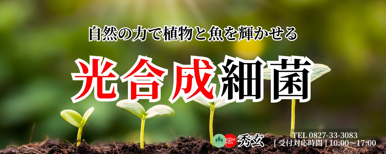 連作障害を防ぐには？発生する原因と対策方法