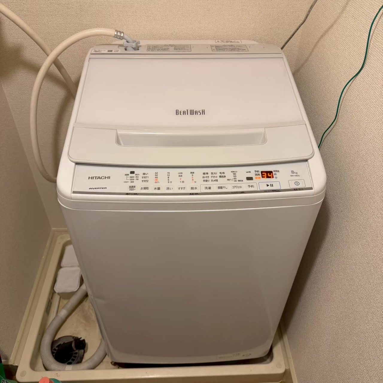 ご購入速報❗️2026/08/18