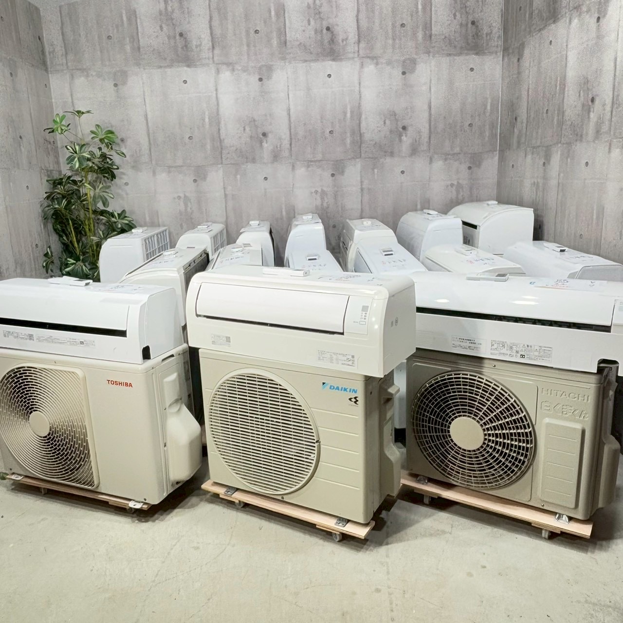 入荷情報❗️2026/03/19