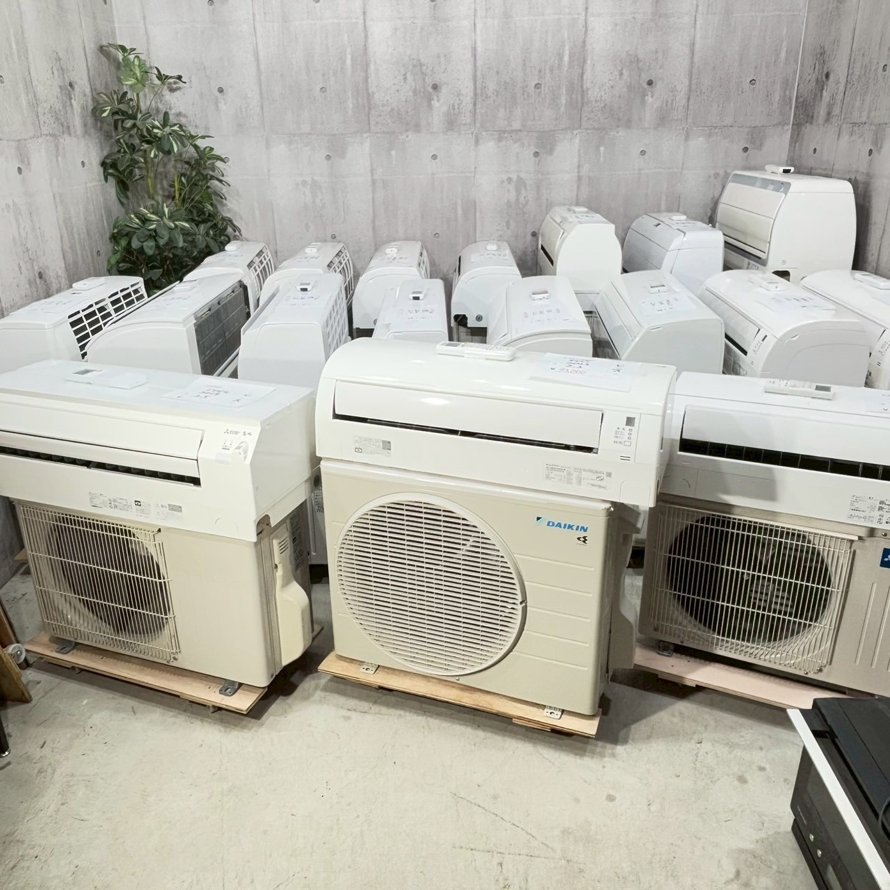 入荷情報❗️2026/02/28