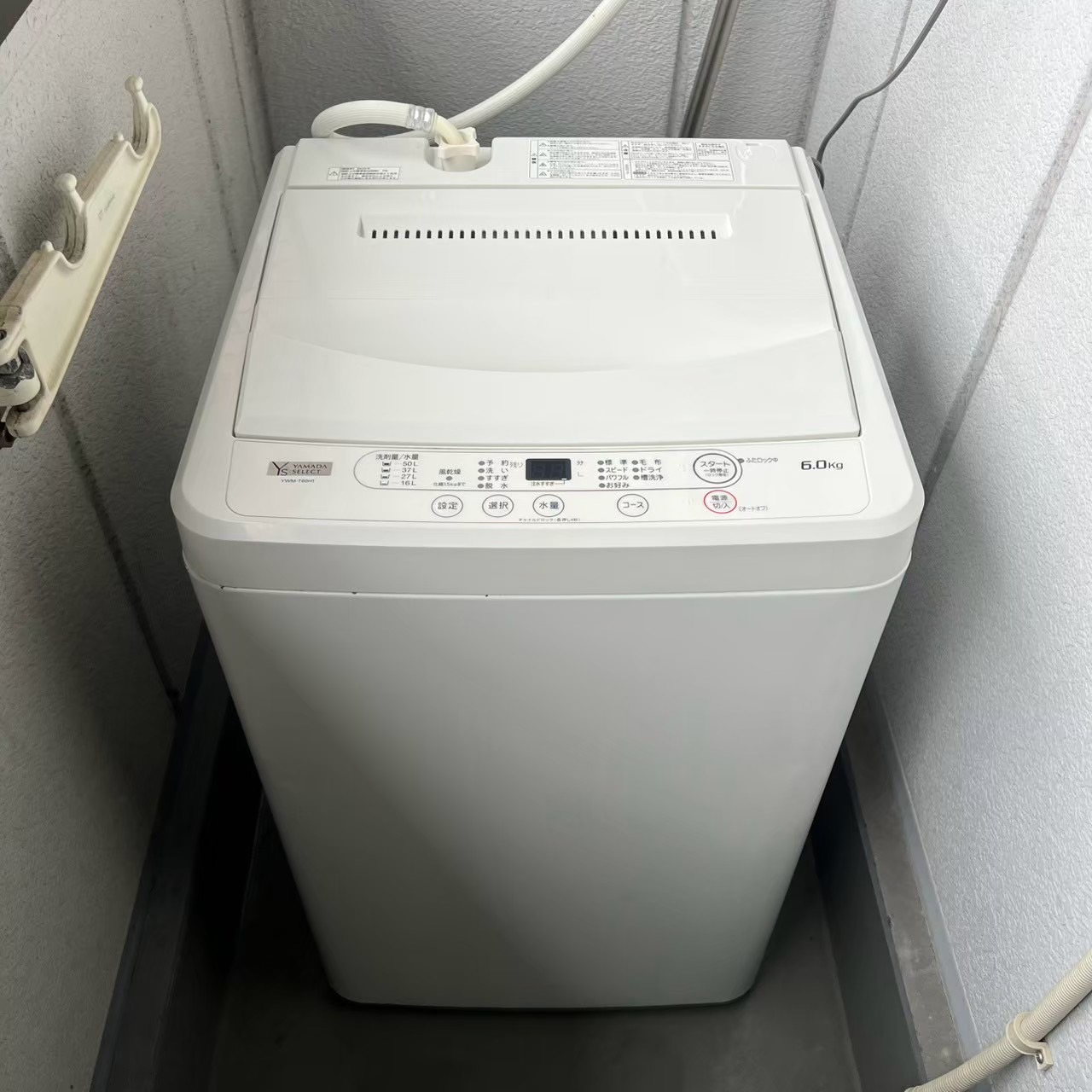 ご購入速報❗️2026/08/07