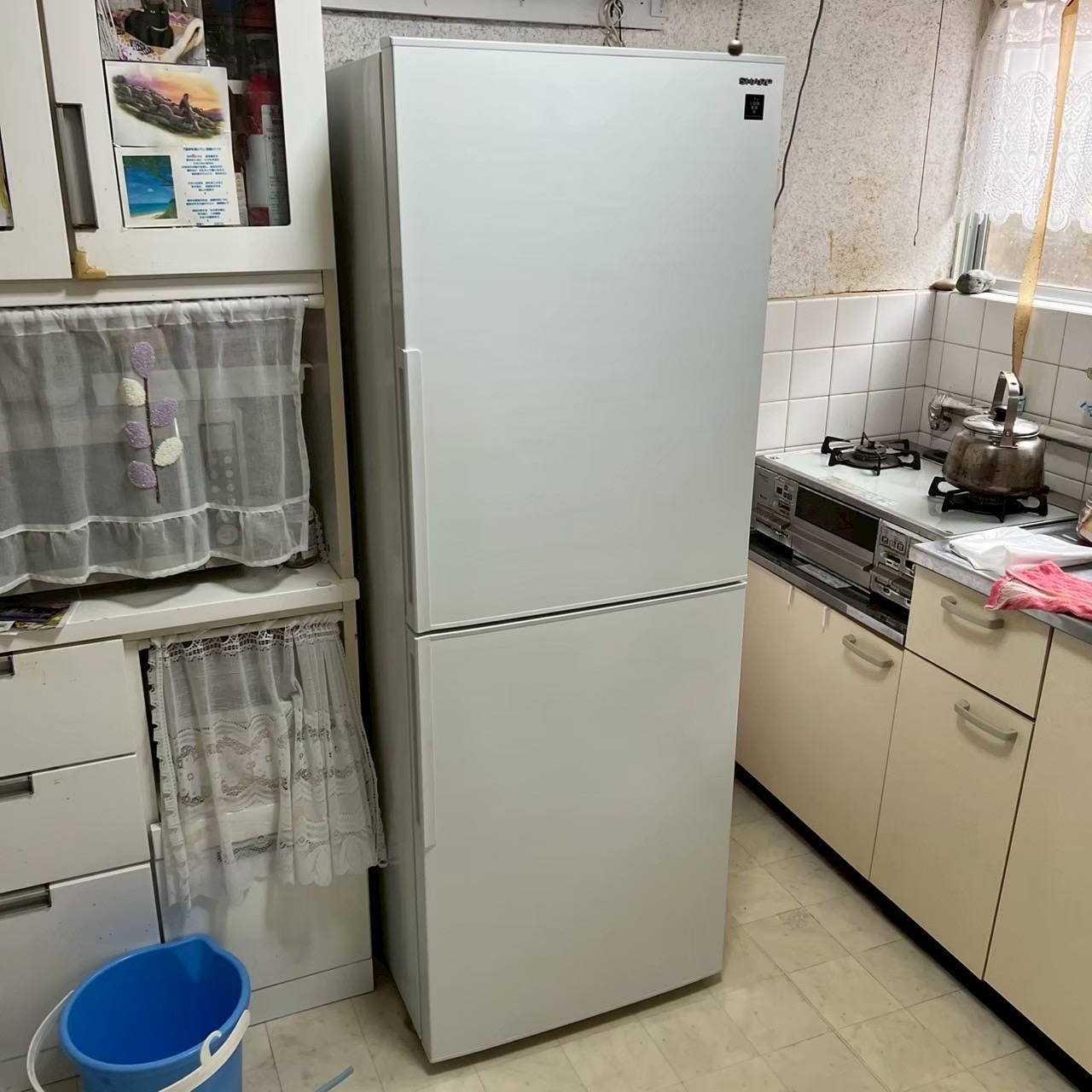 ご購入速報❗️2026/03/24
