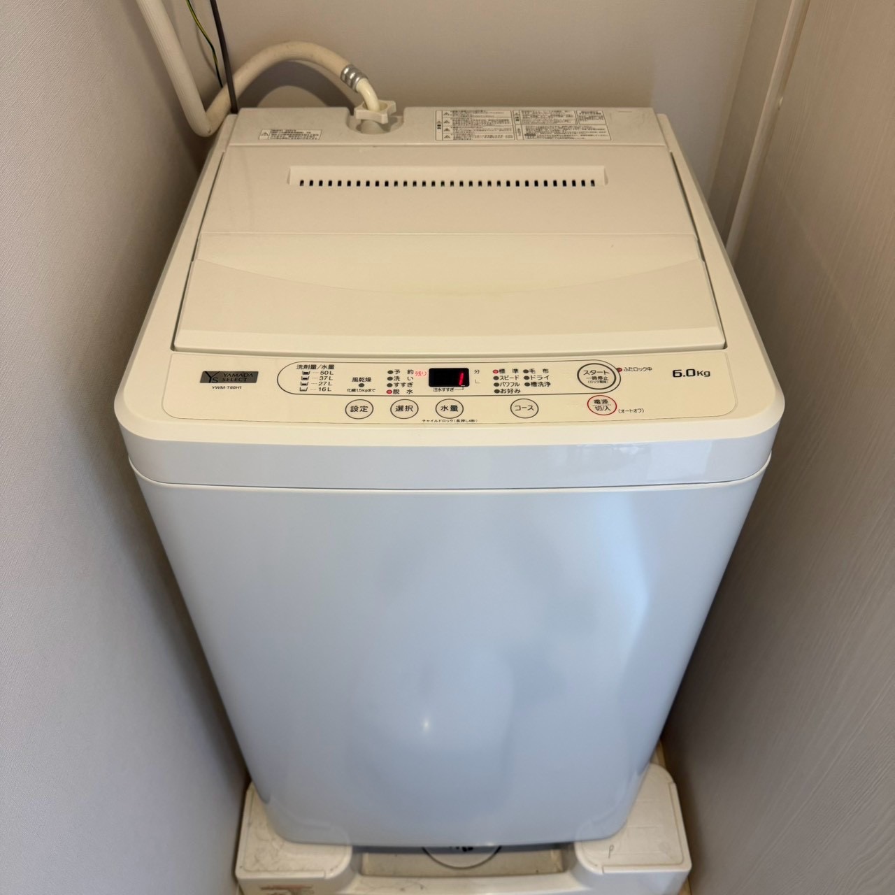 ご購入速報❗️2026/09/19