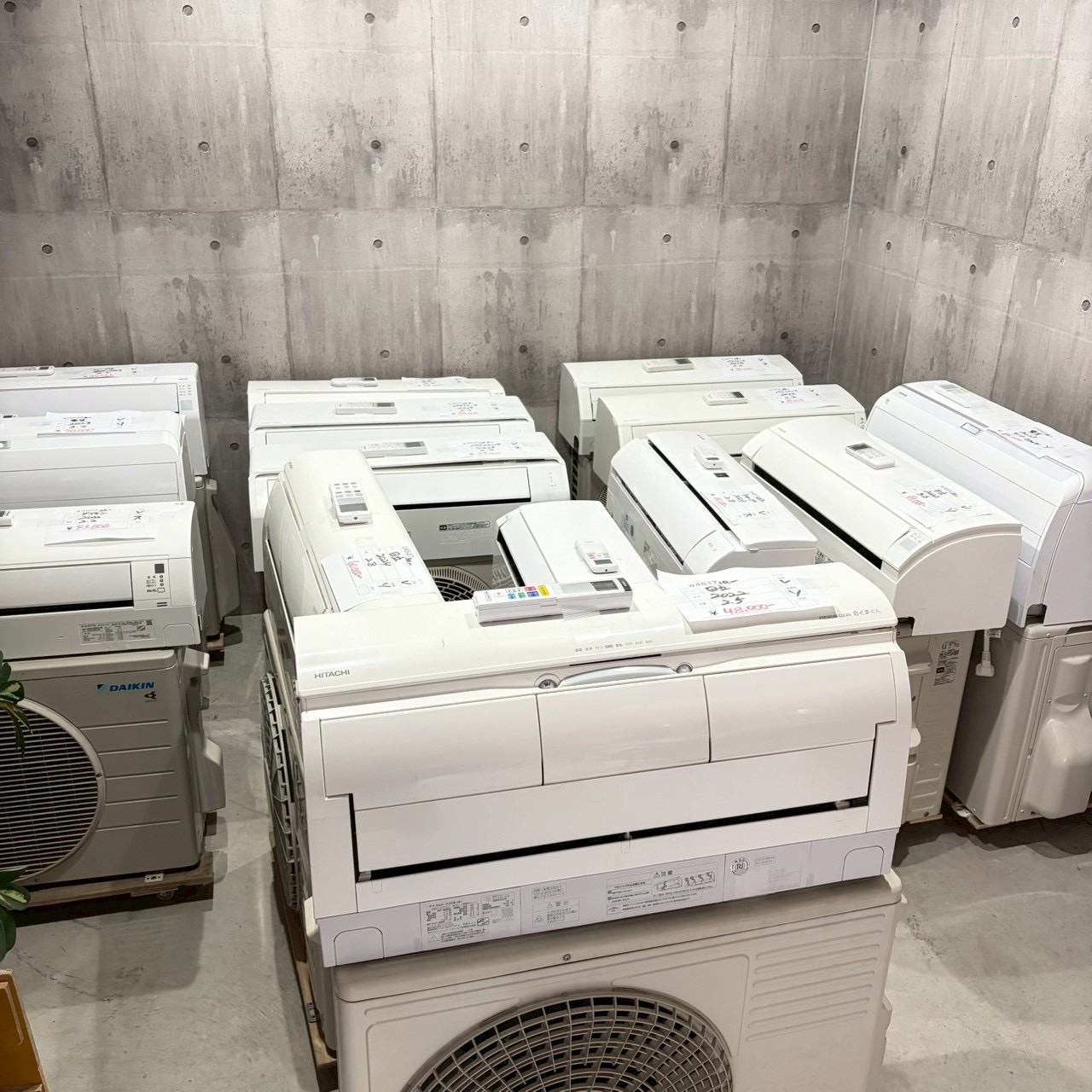 入荷情報❗️2026/02/21