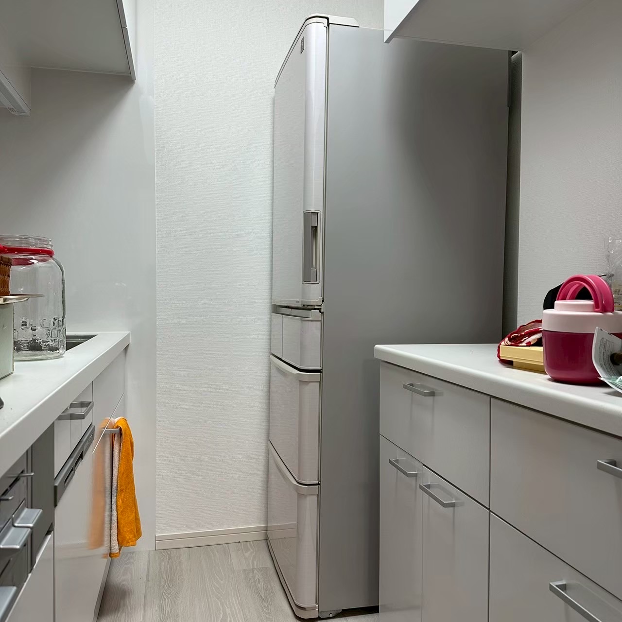 ご購入速報❗️2026/02/07