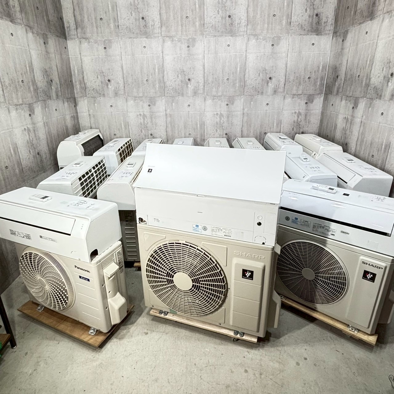 入荷情報❗️2026/04/24