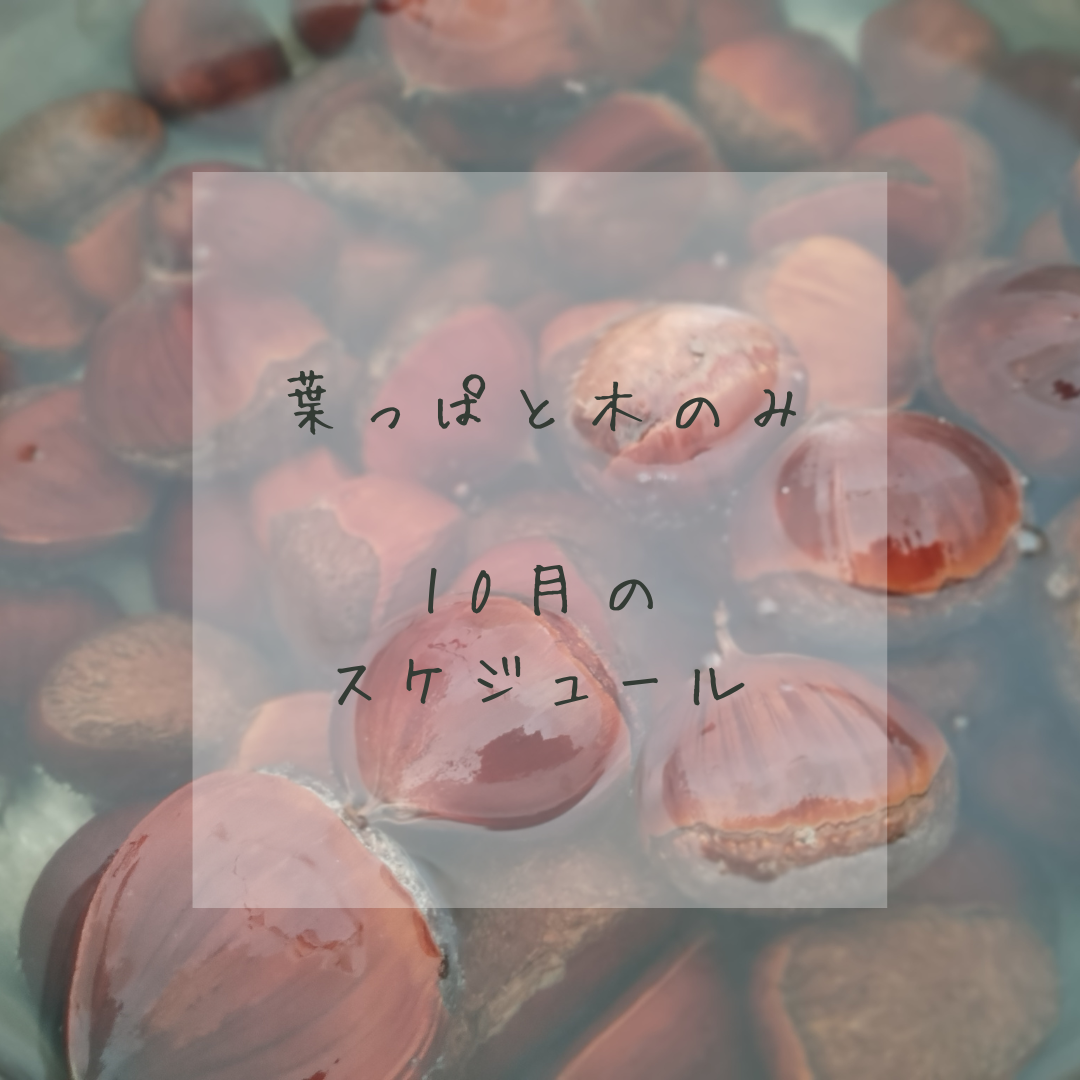 葉っぱと木のみ　10月のスケジュール