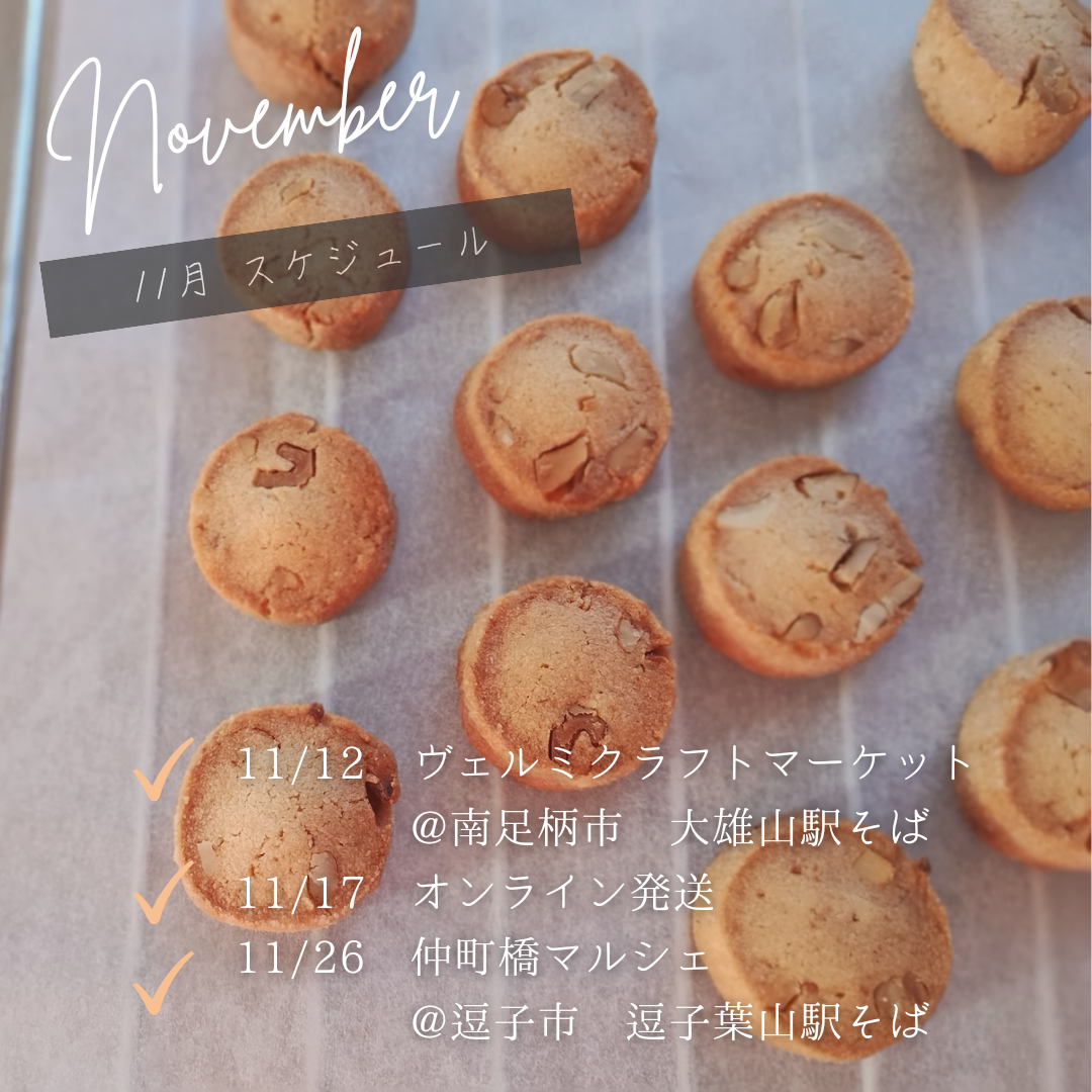 葉っぱと木のみ　11月のスケジュール