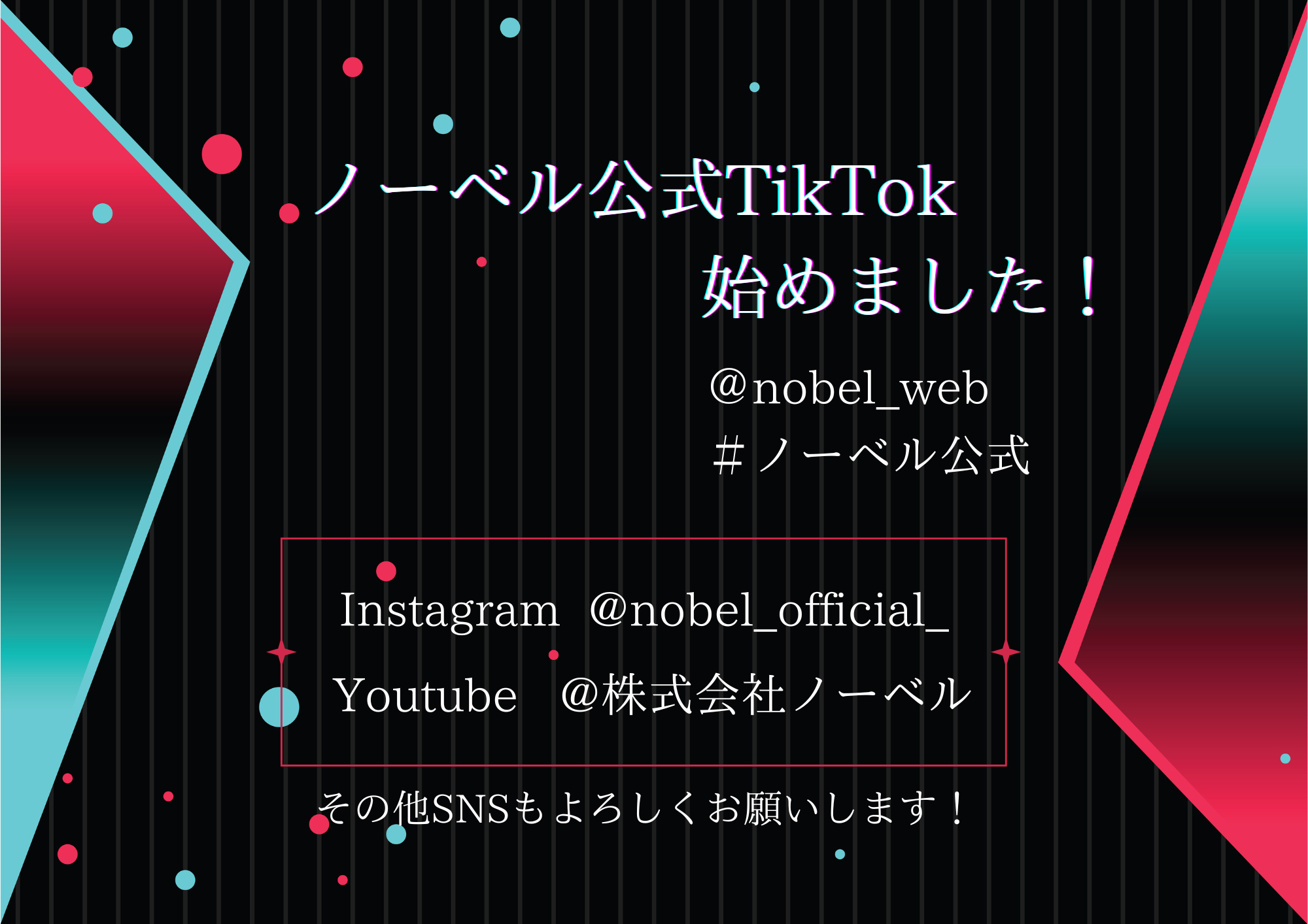 TikTok始めました