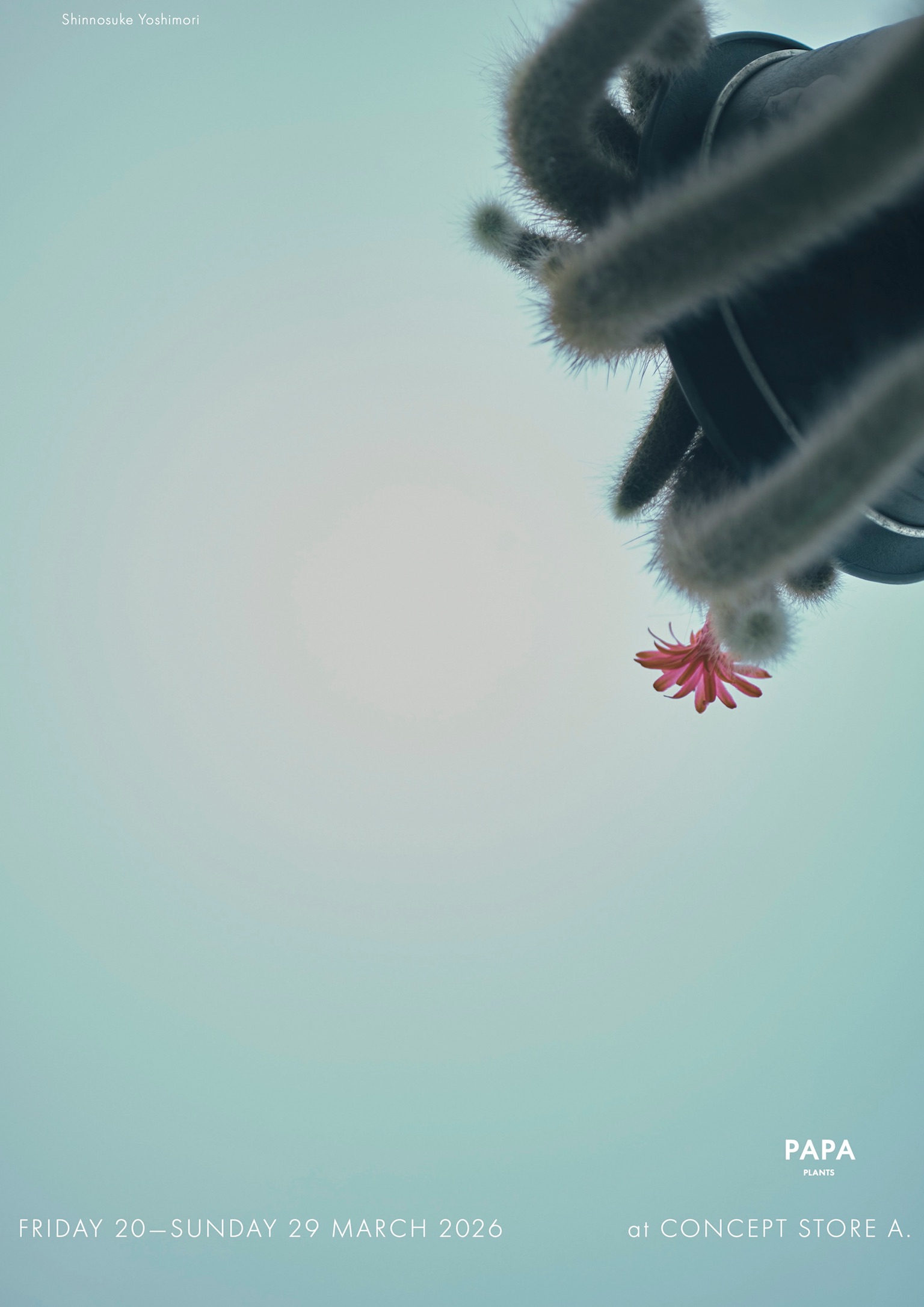 【写真集刊行イベント】 PAPA PLANTS