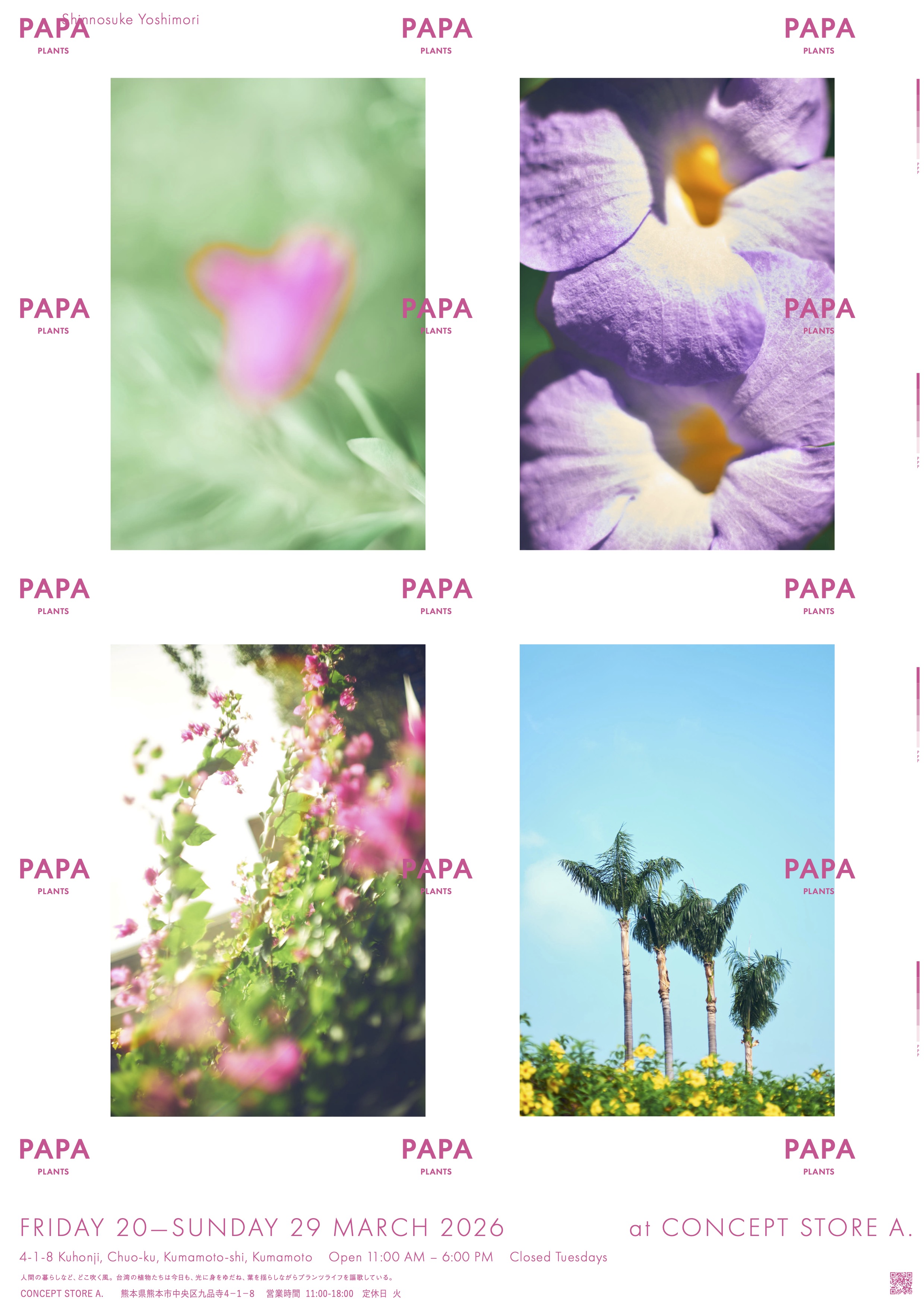 What is "PAPA PLANTS" ?