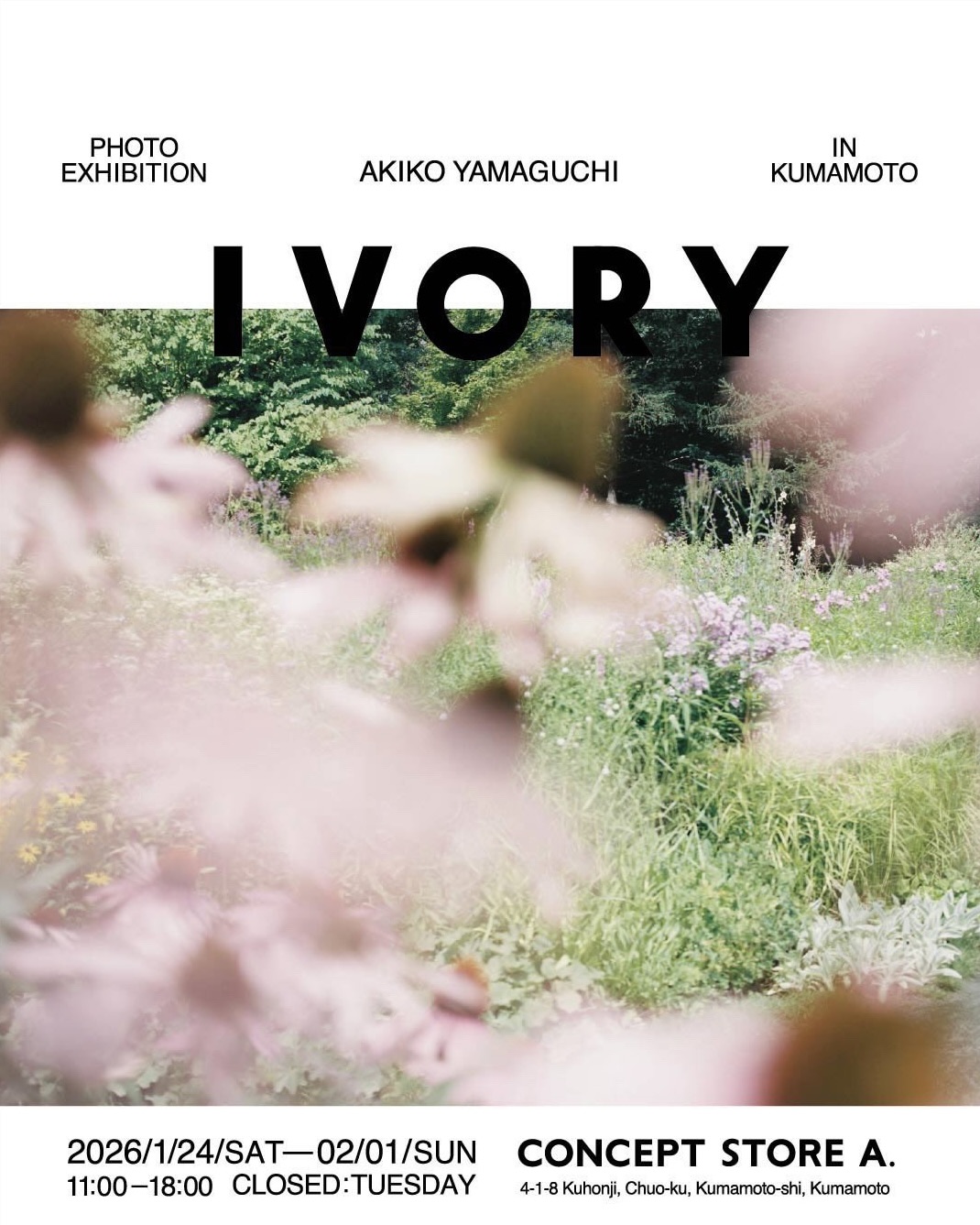 【写真展のお知らせ】IVORY_山口亜希子さん