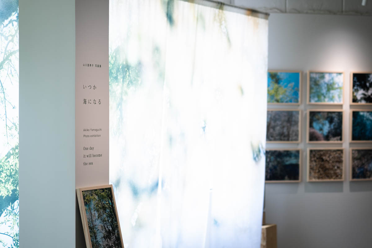 山口亜希子写真展「いつか海になる」