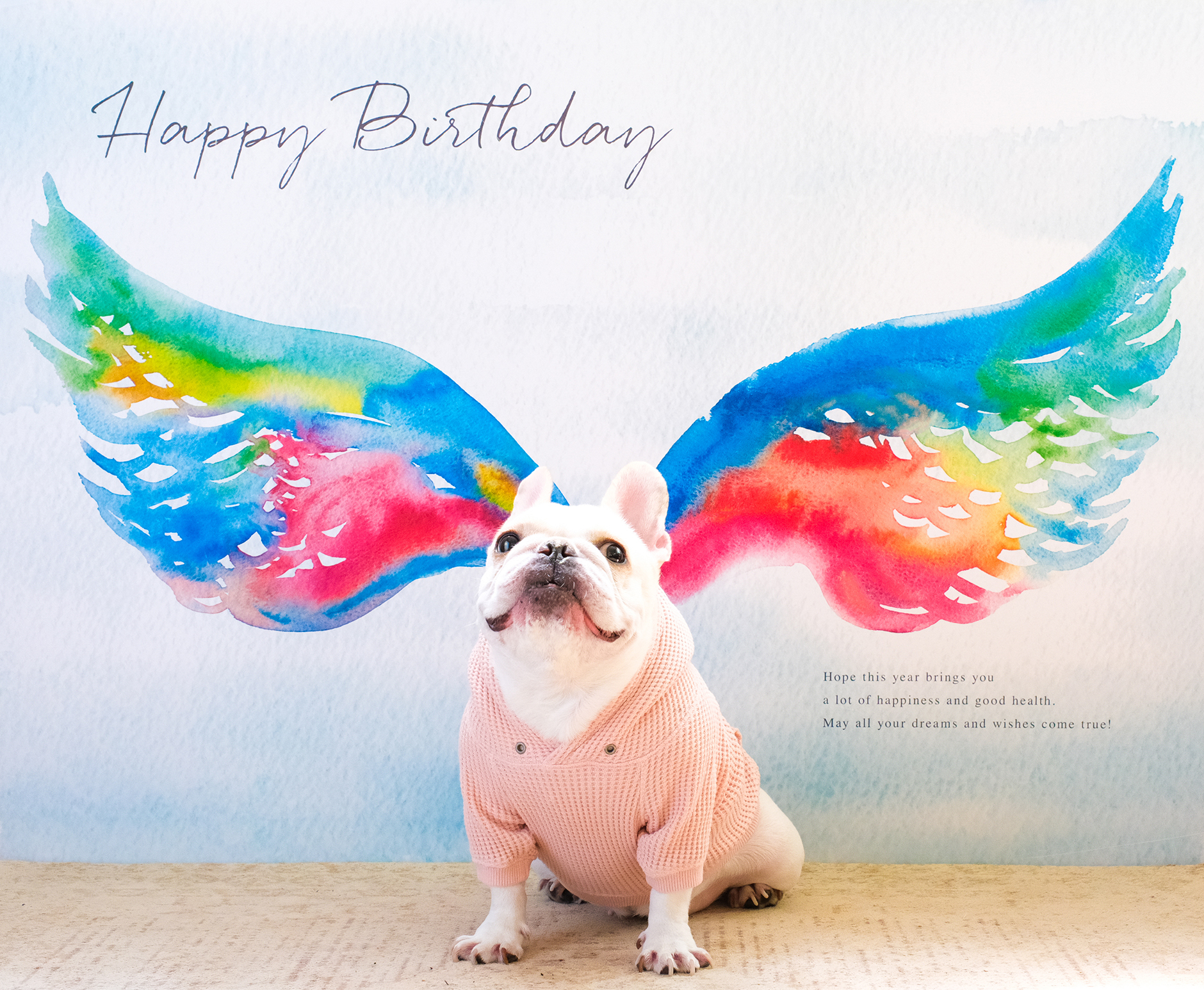 FREBULL PHOTO オープン！