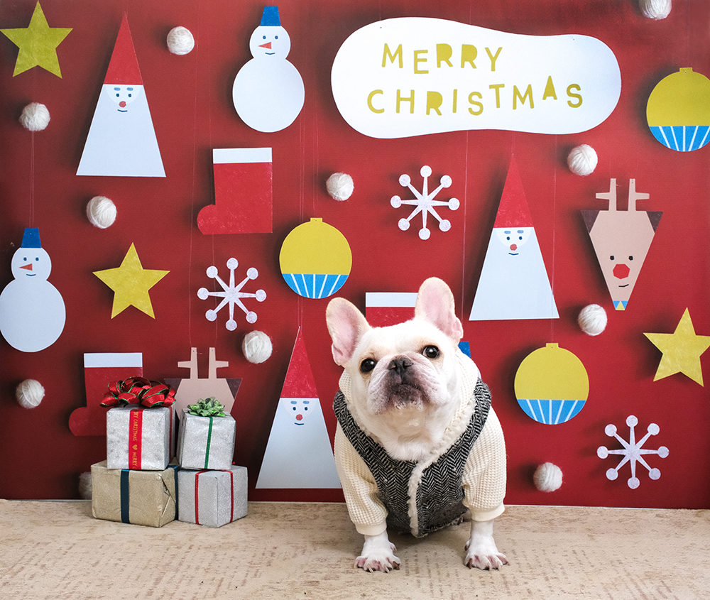 クリスマス＆お正月デザイン | 今年度の受付決定：11/14(木)20:00スタート！