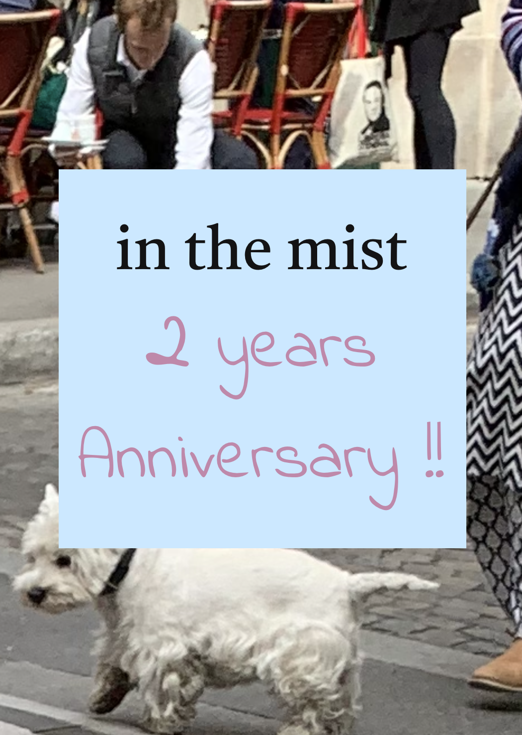in the mist 【2nd anniversary🎉】