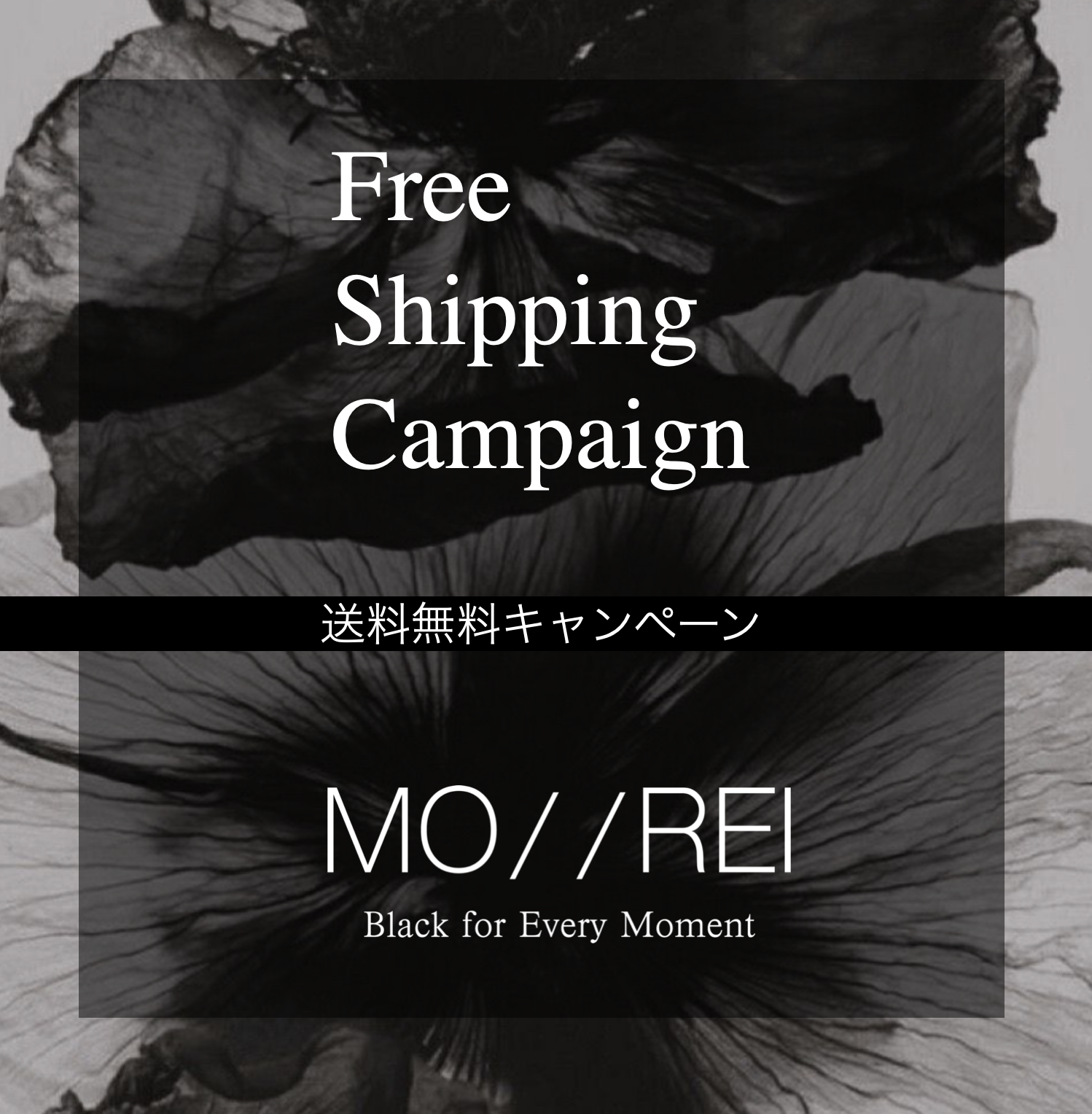 送料無料キャンペーン🖤