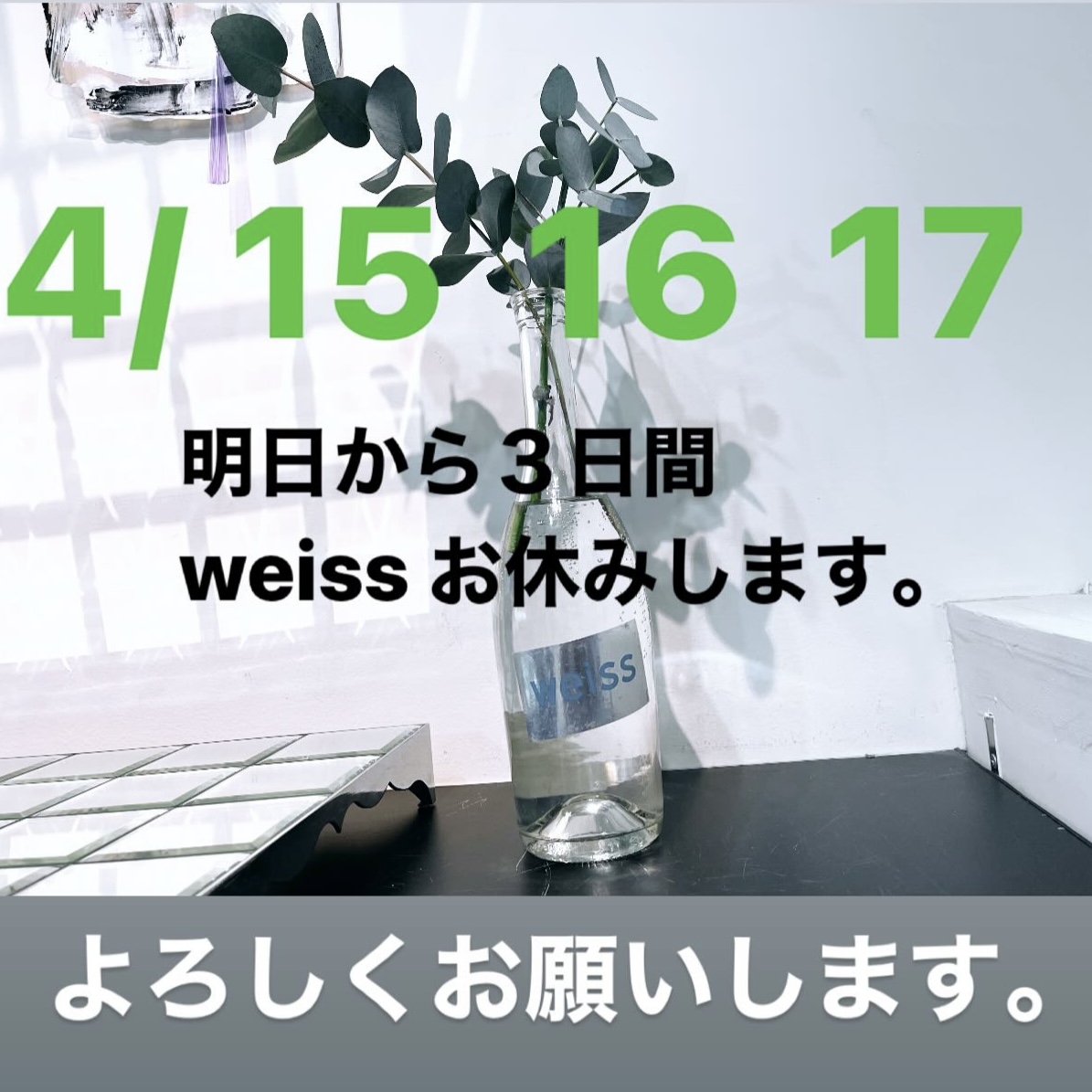 4/15  16  17 weiss お休みします。