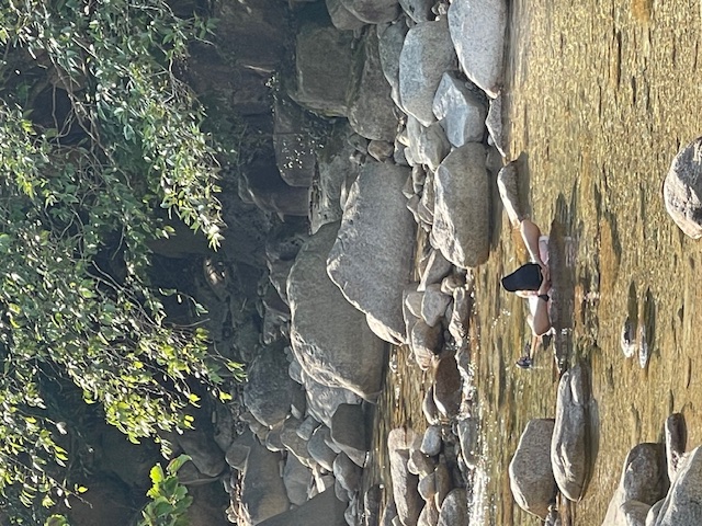 TAUPE スウェットで秋。