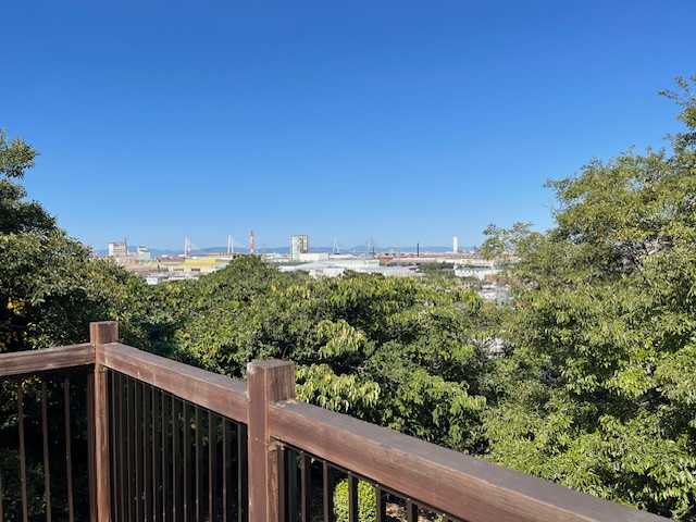 季節はぐっと深まり秋、。