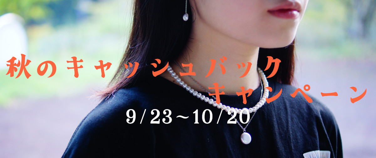秋のキャッシュバックキャンペーン開催