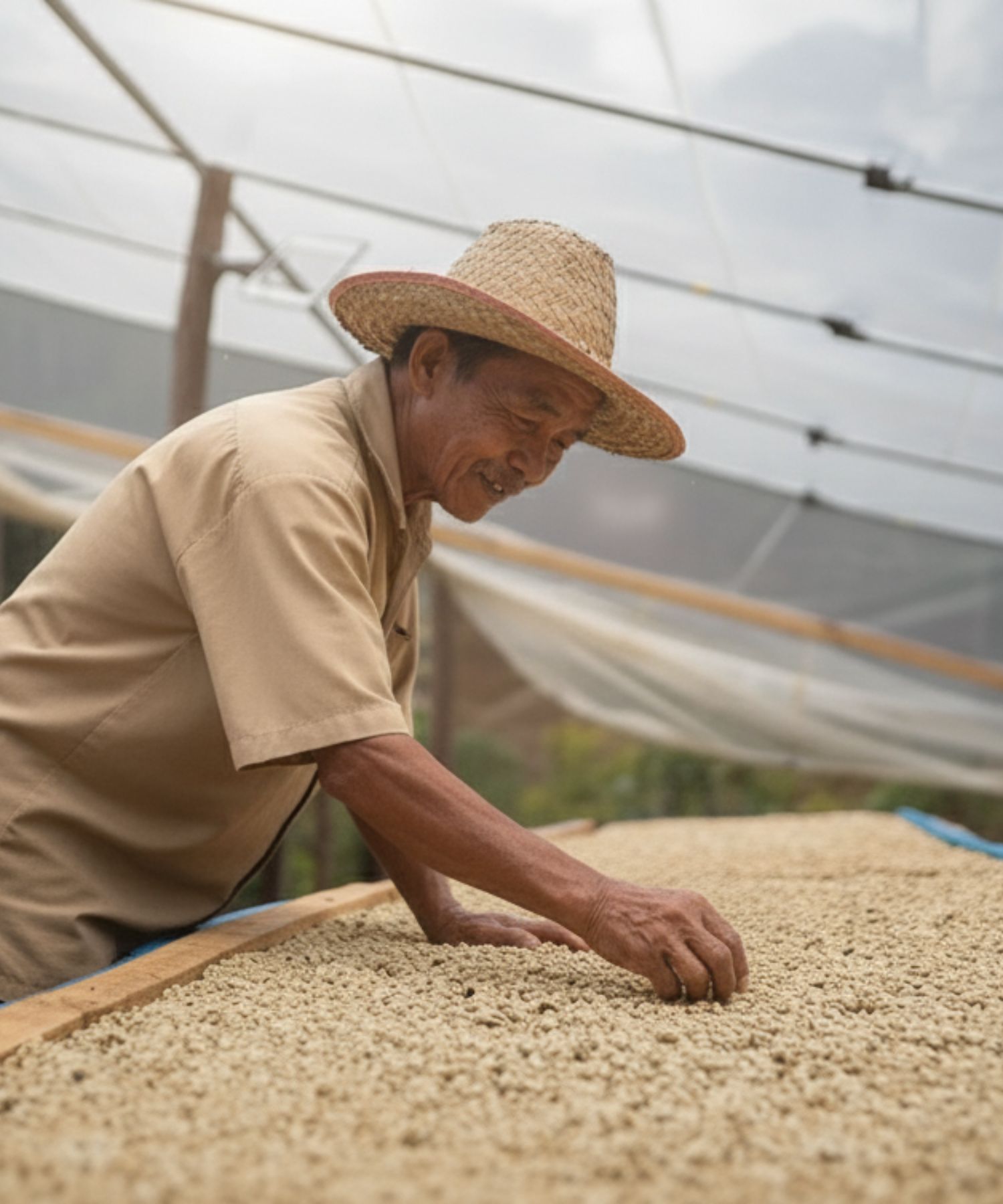 【2/25配信】低酸で重厚感スマトラ式プロセス