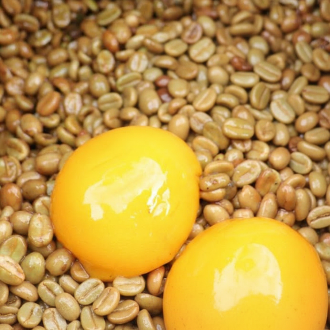 【4/4配信済み】邪道?革新?賛否のコーヒー