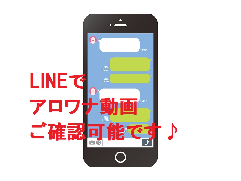 【店長とLINE可能！】実際のアロワナ動画が見たい！ご要望にお答えします♪