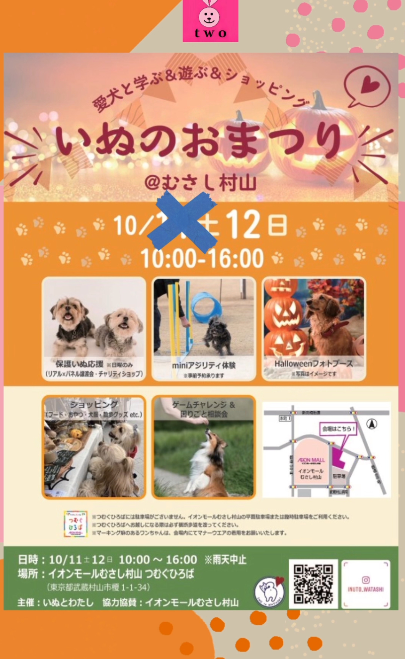 11日は天候不良のため中止になりました💦