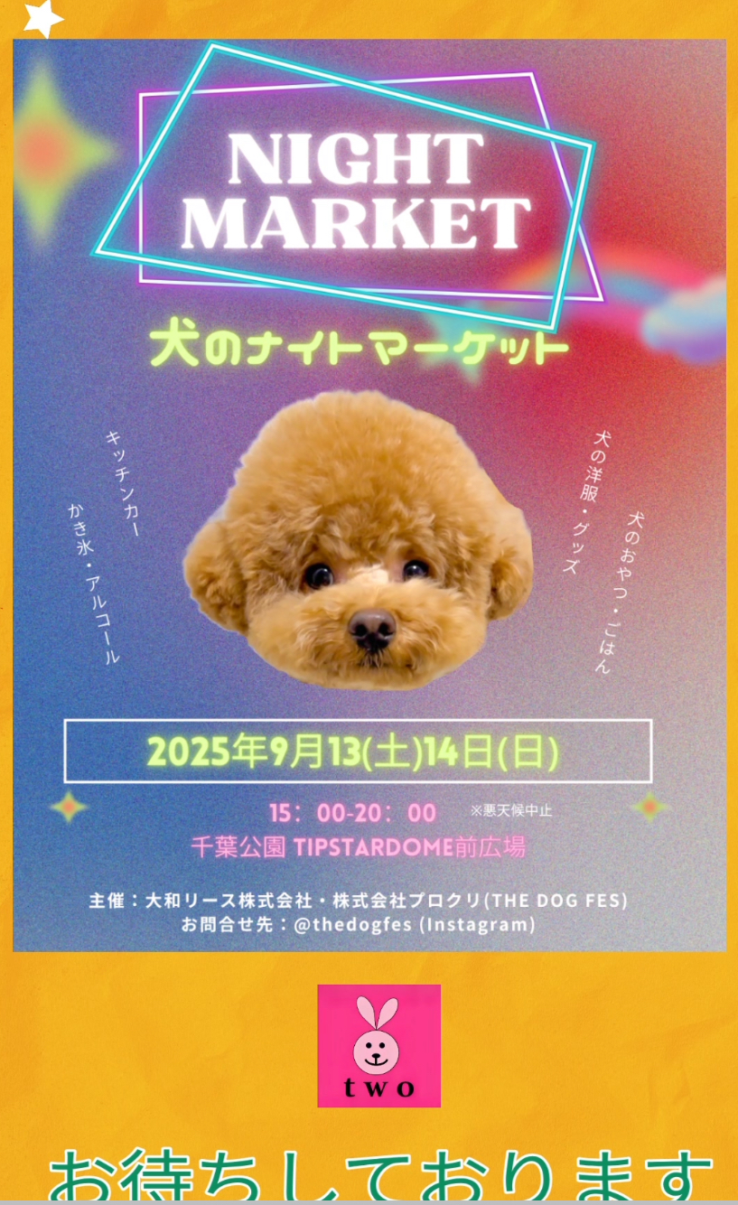 今回もナイトマルシェです⭐︎