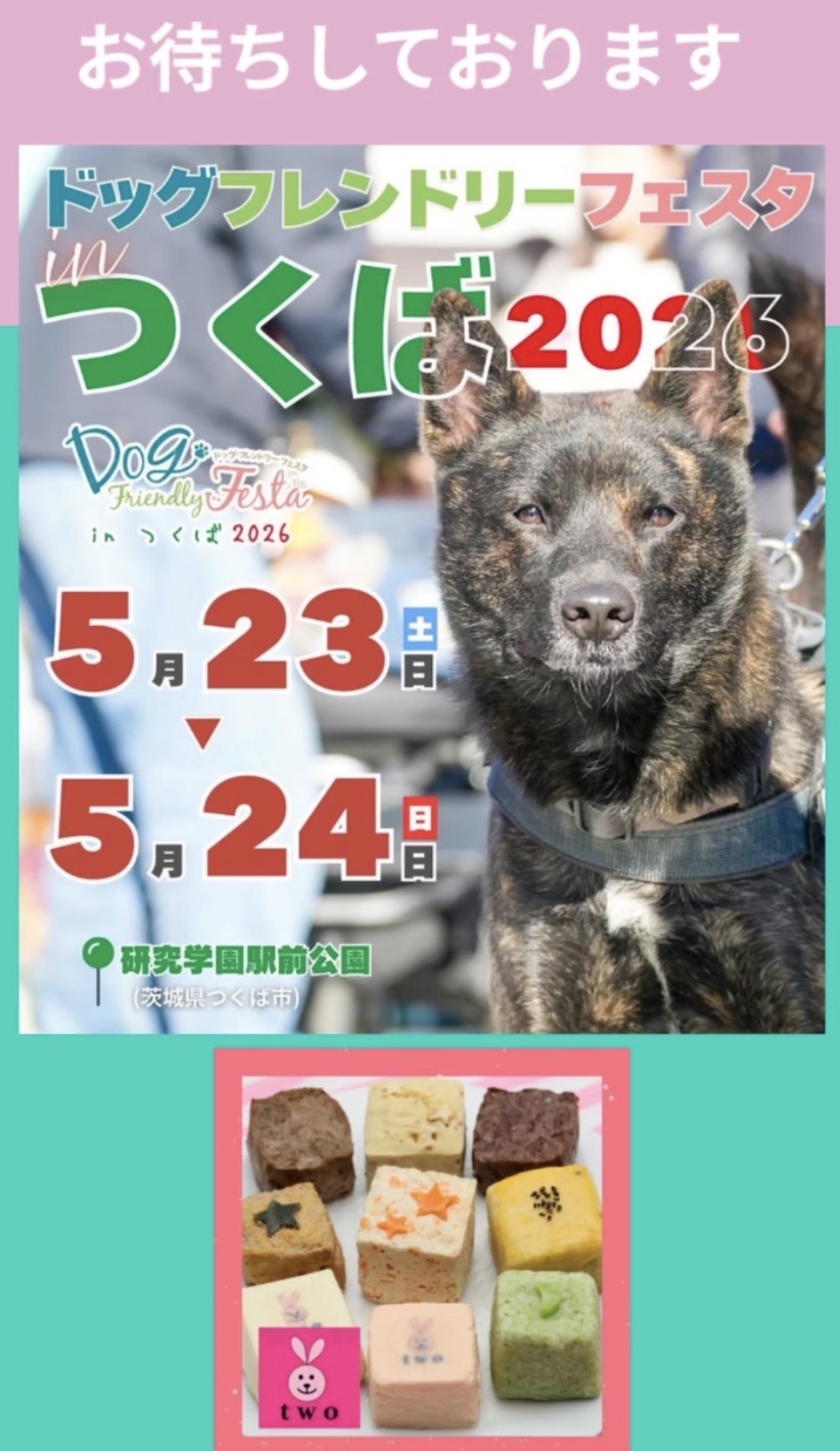 初めての場所になります♪
