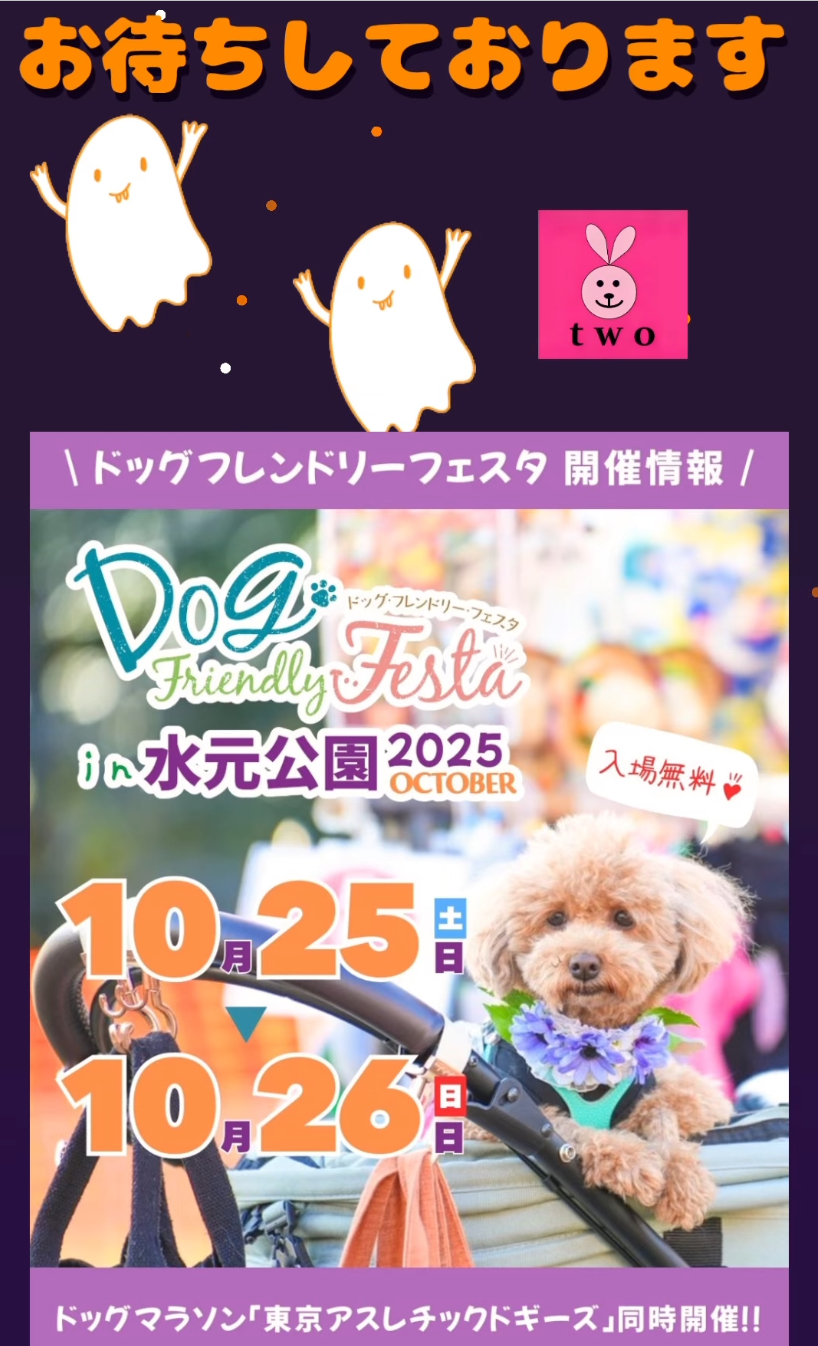 日曜日は雨のため中止となりました💦