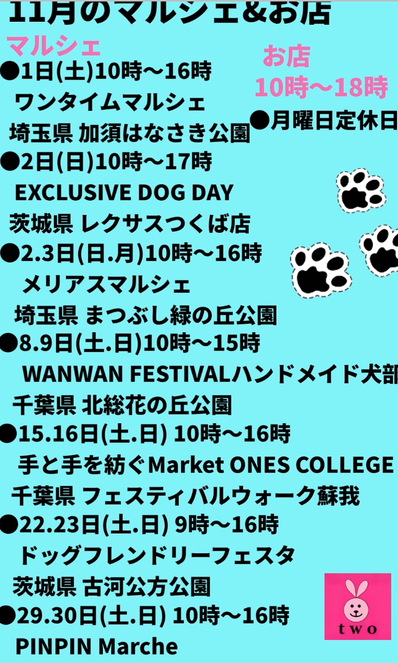 ⭐︎11月の予定になります⭐︎