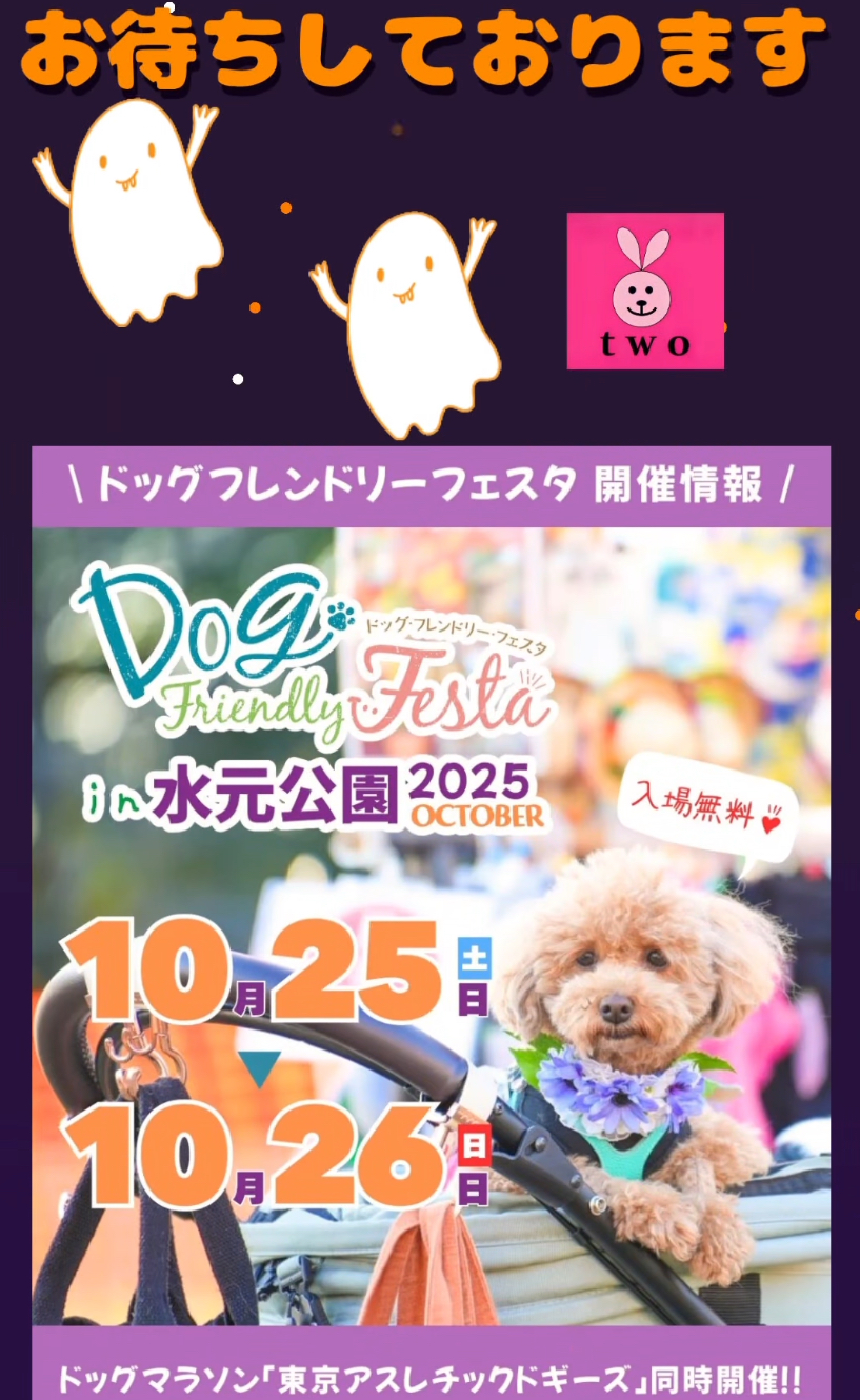 お天気心配ですが💦