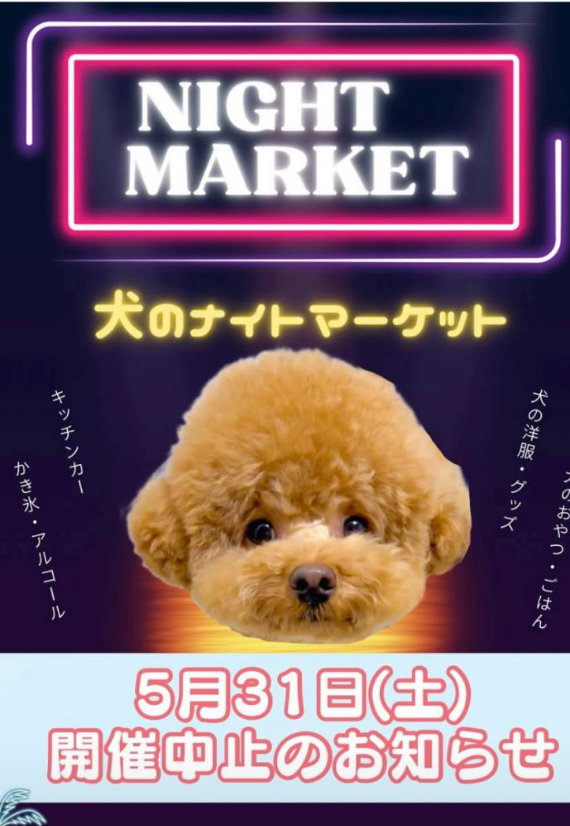 残念です（ ;  ; ）