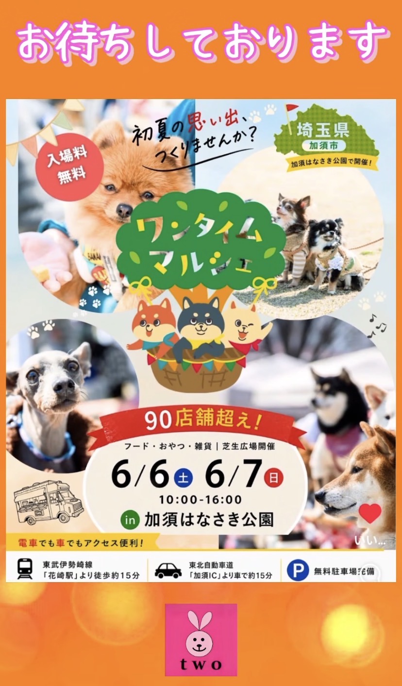 土•日曜日はこちらに♪