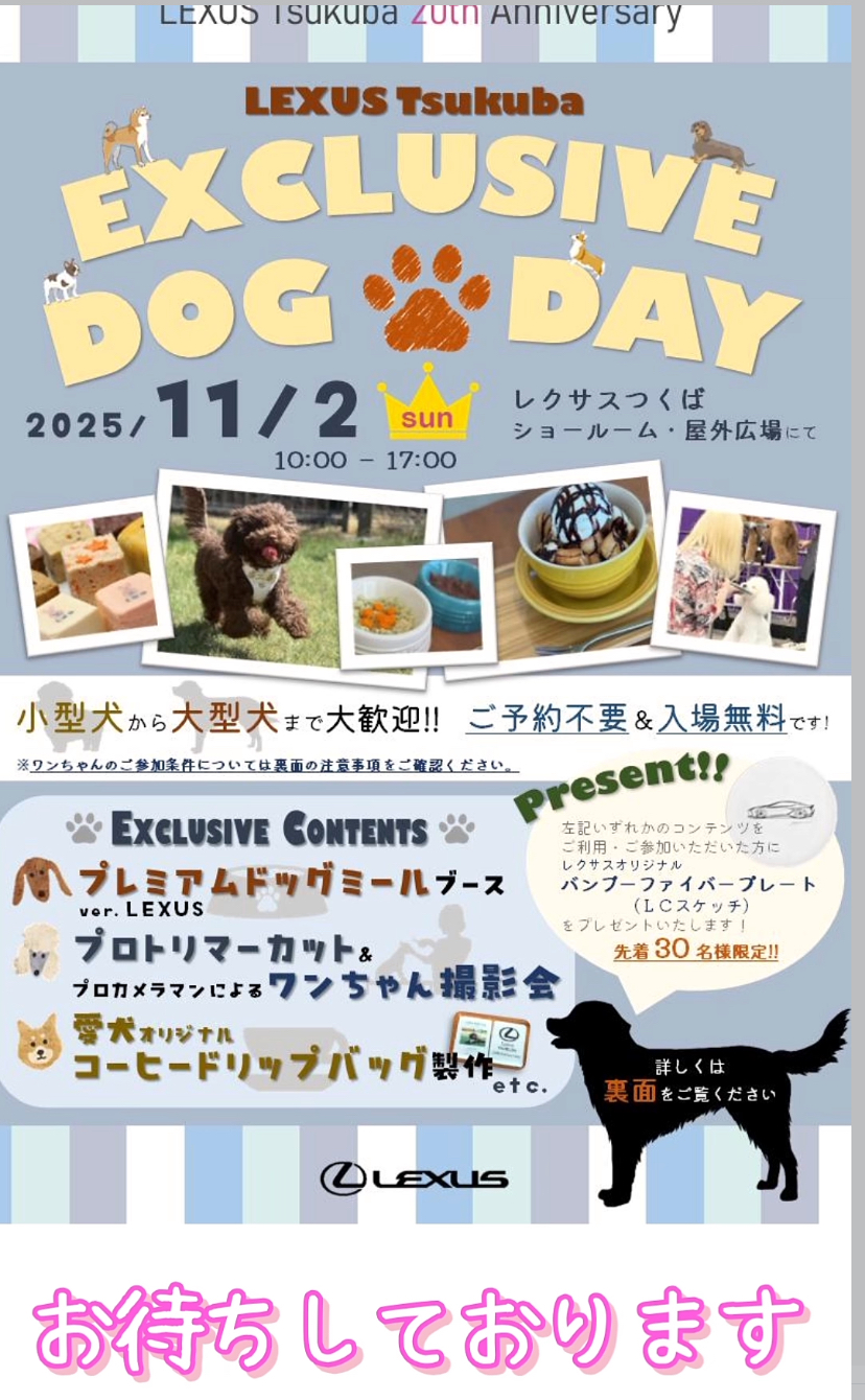 日曜日は2ヶ所出店いたします☺️