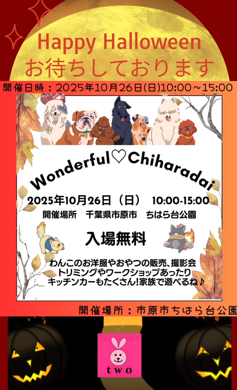 こちらは日曜日のみの開催です！