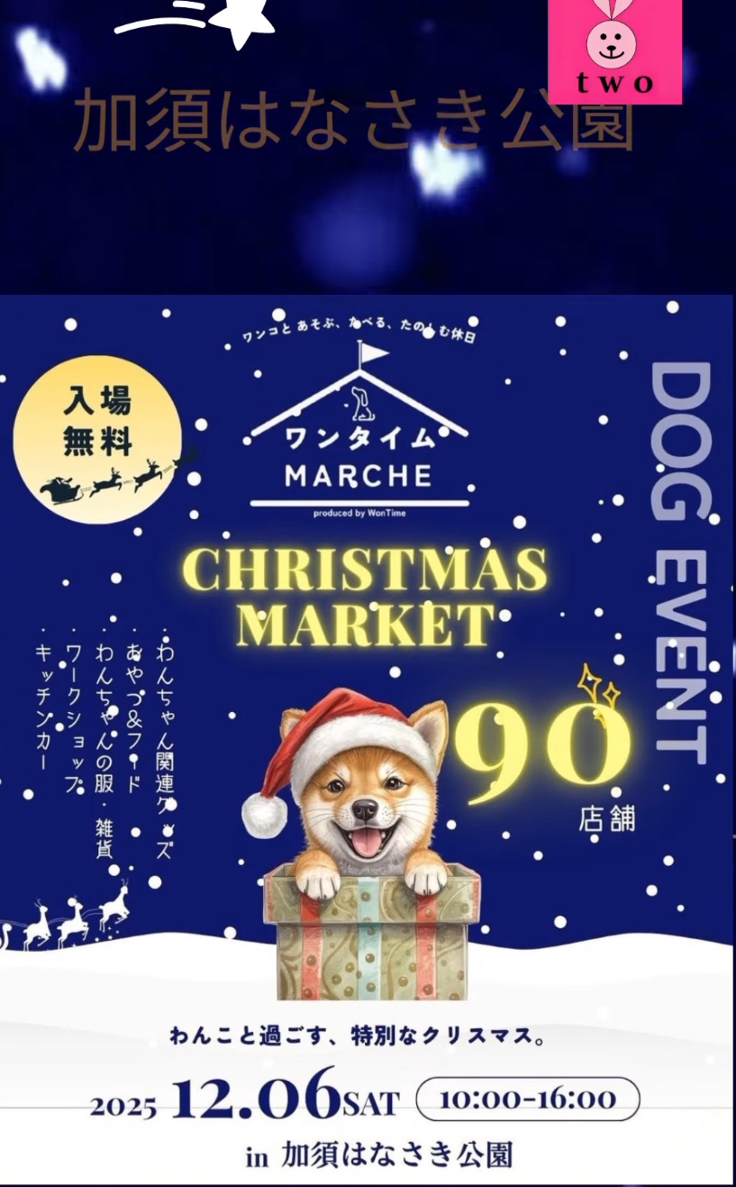 土曜日に出店いたします♪