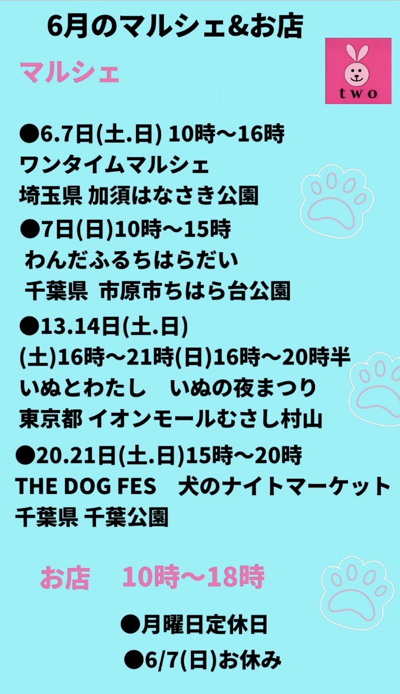 ⭐︎6月の予定になります⭐︎