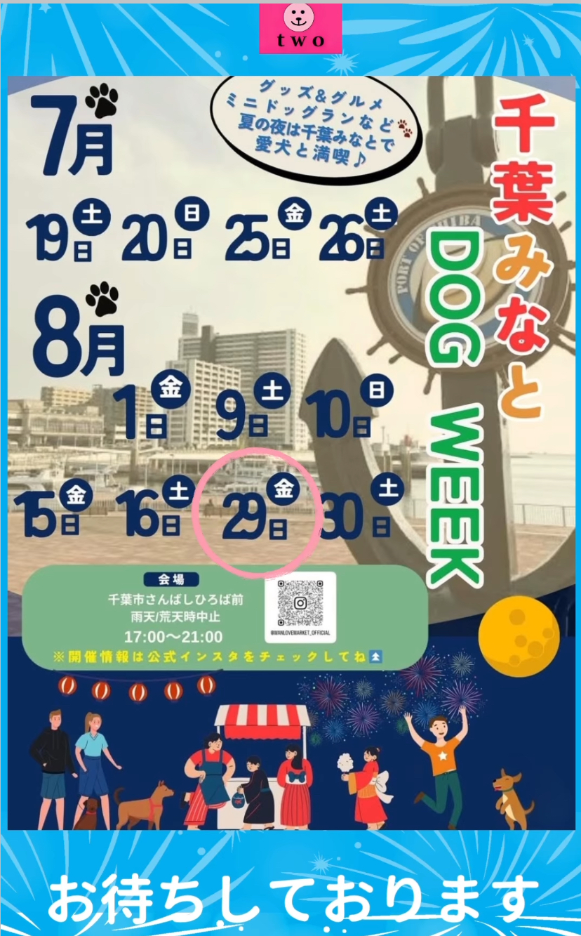 夜のお散歩にいかがですか？