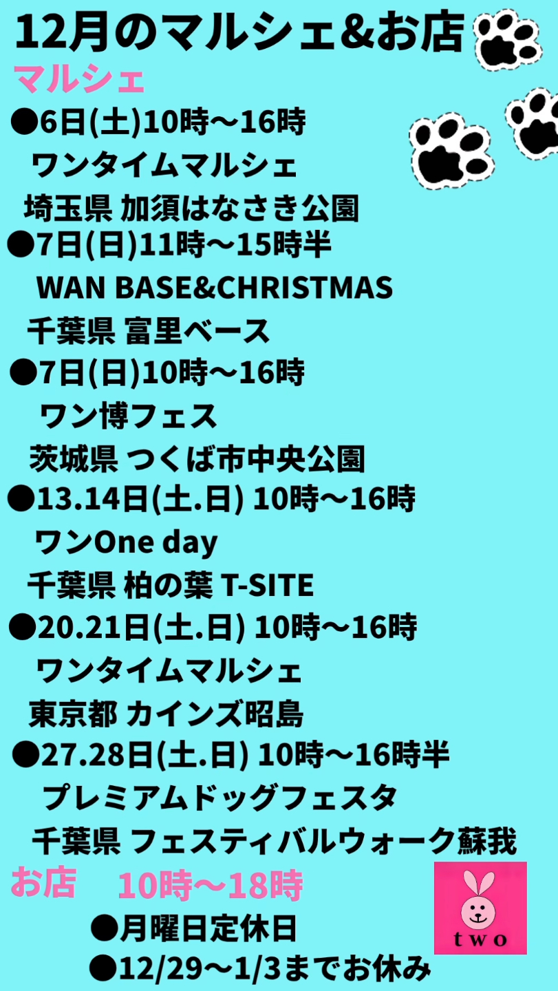 ⭐︎12月の予定になります⭐︎