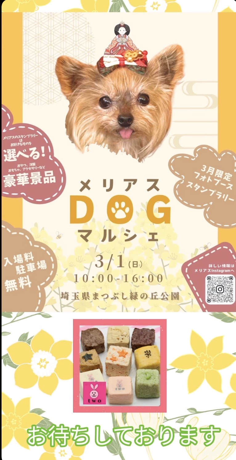 土曜日と日曜日の会場が違います♪