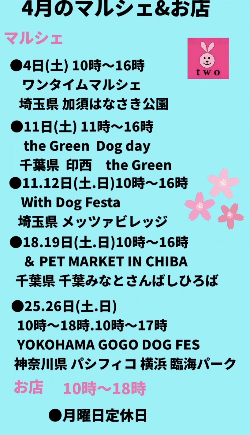 ⭐︎4月の予定になります⭐︎