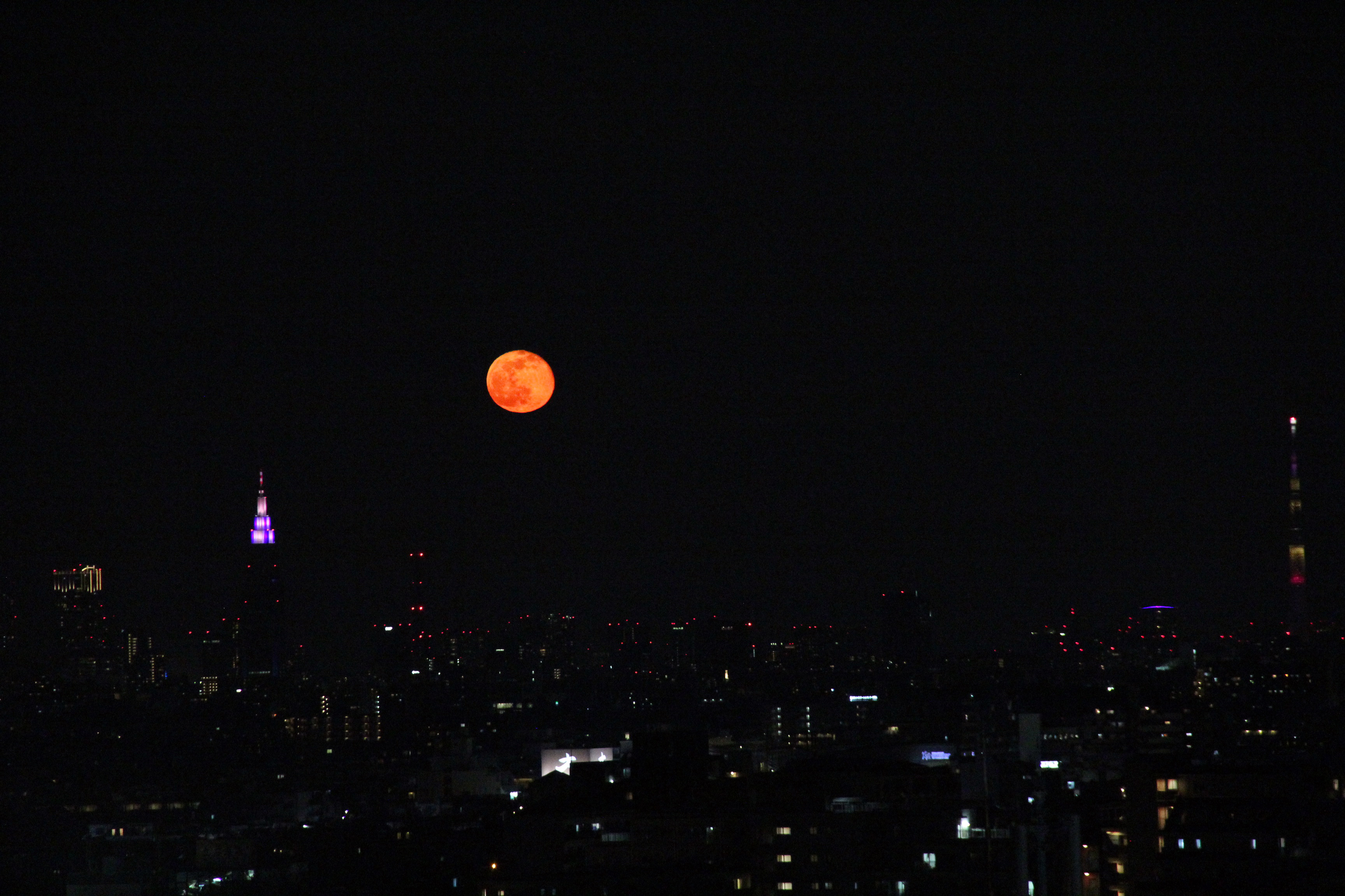 ツキとツキ🌚🌝