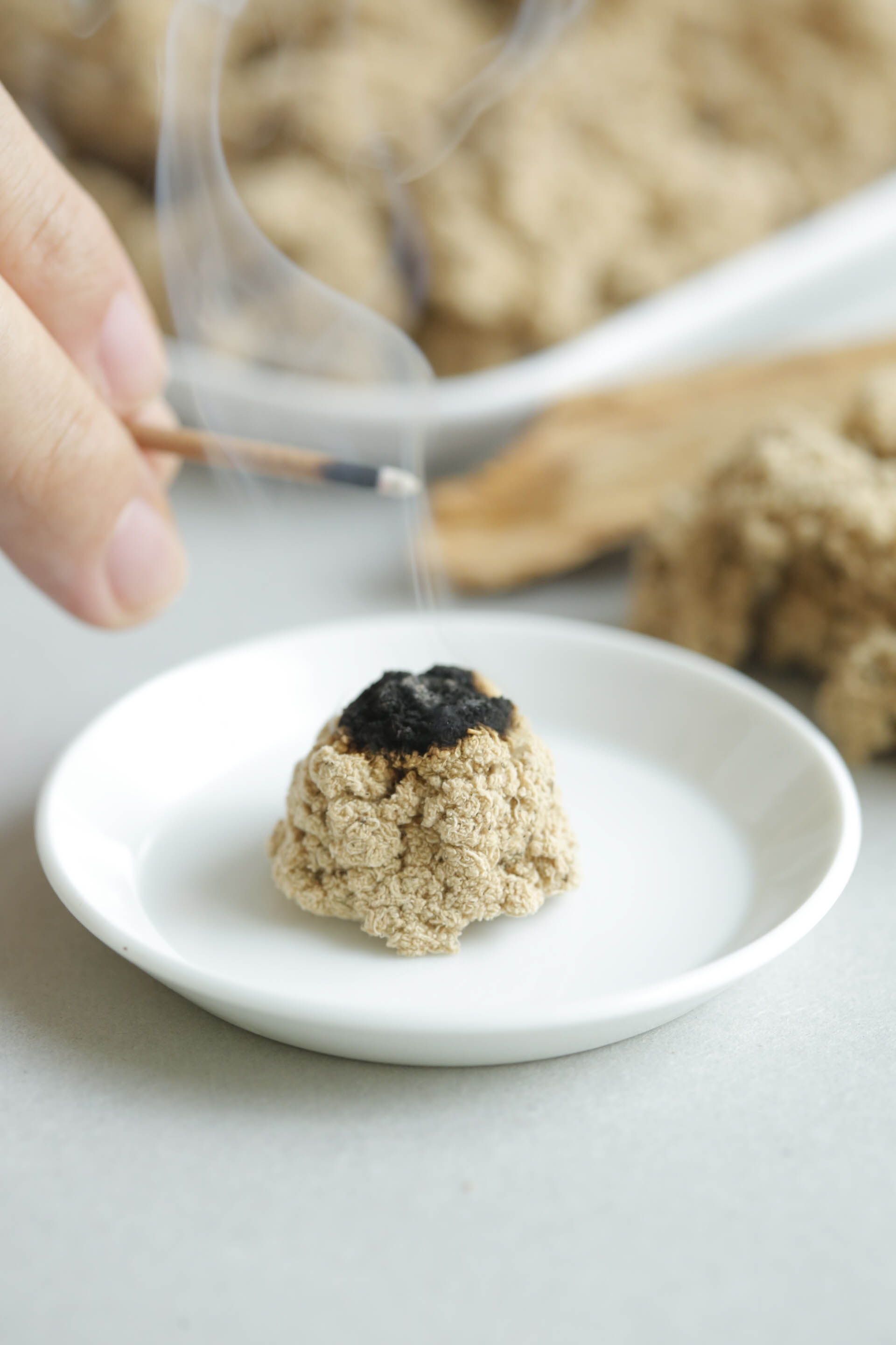 「明日元気になるお灸を届けたい – moxa MUSUBIのはじまり」